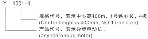 西安泰富西玛Y系列(H355-1000)高压YE5-4503-6三相异步电机型号说明